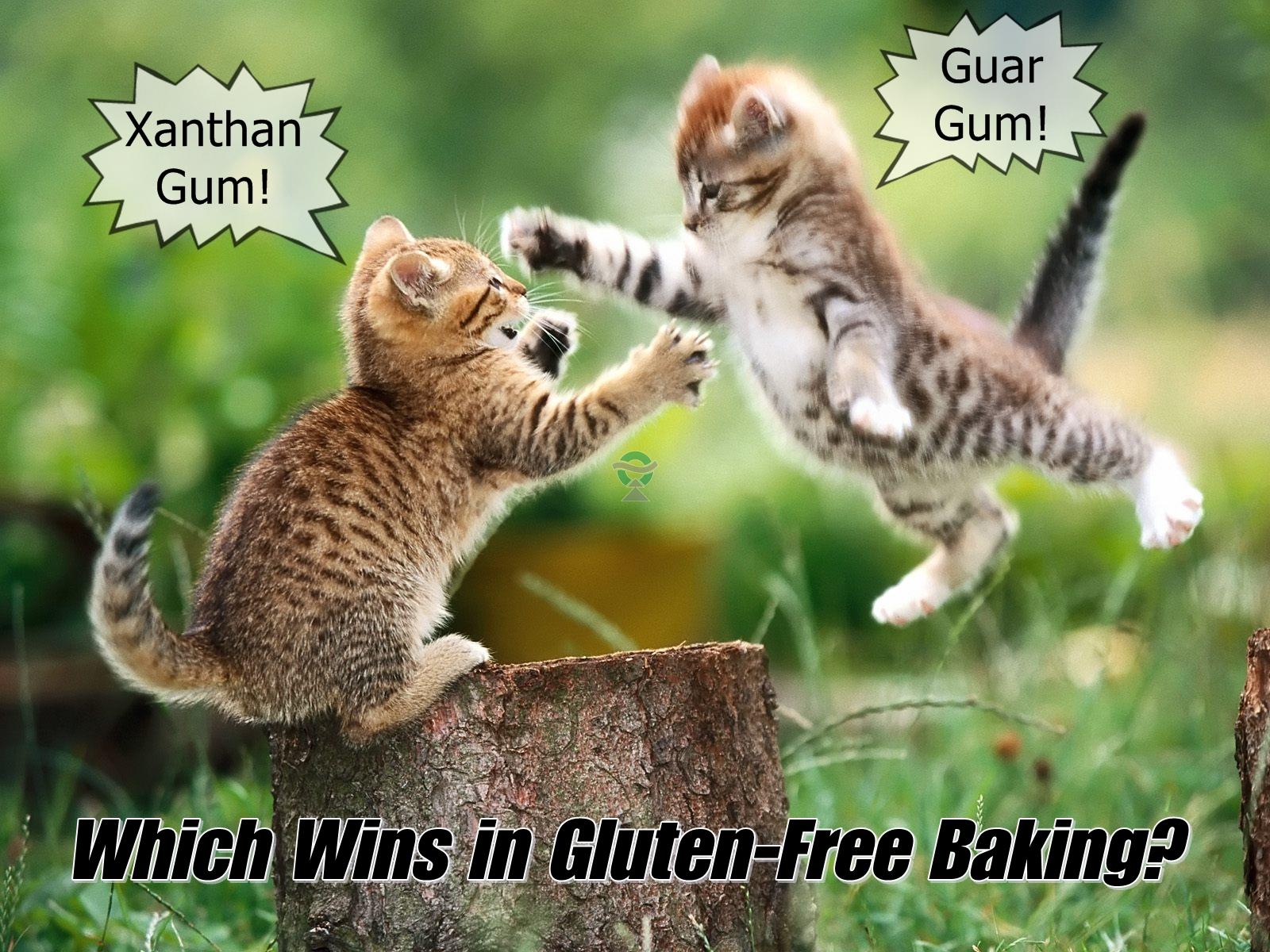  Which One You choose?Guar Gum or Xanthan Gum